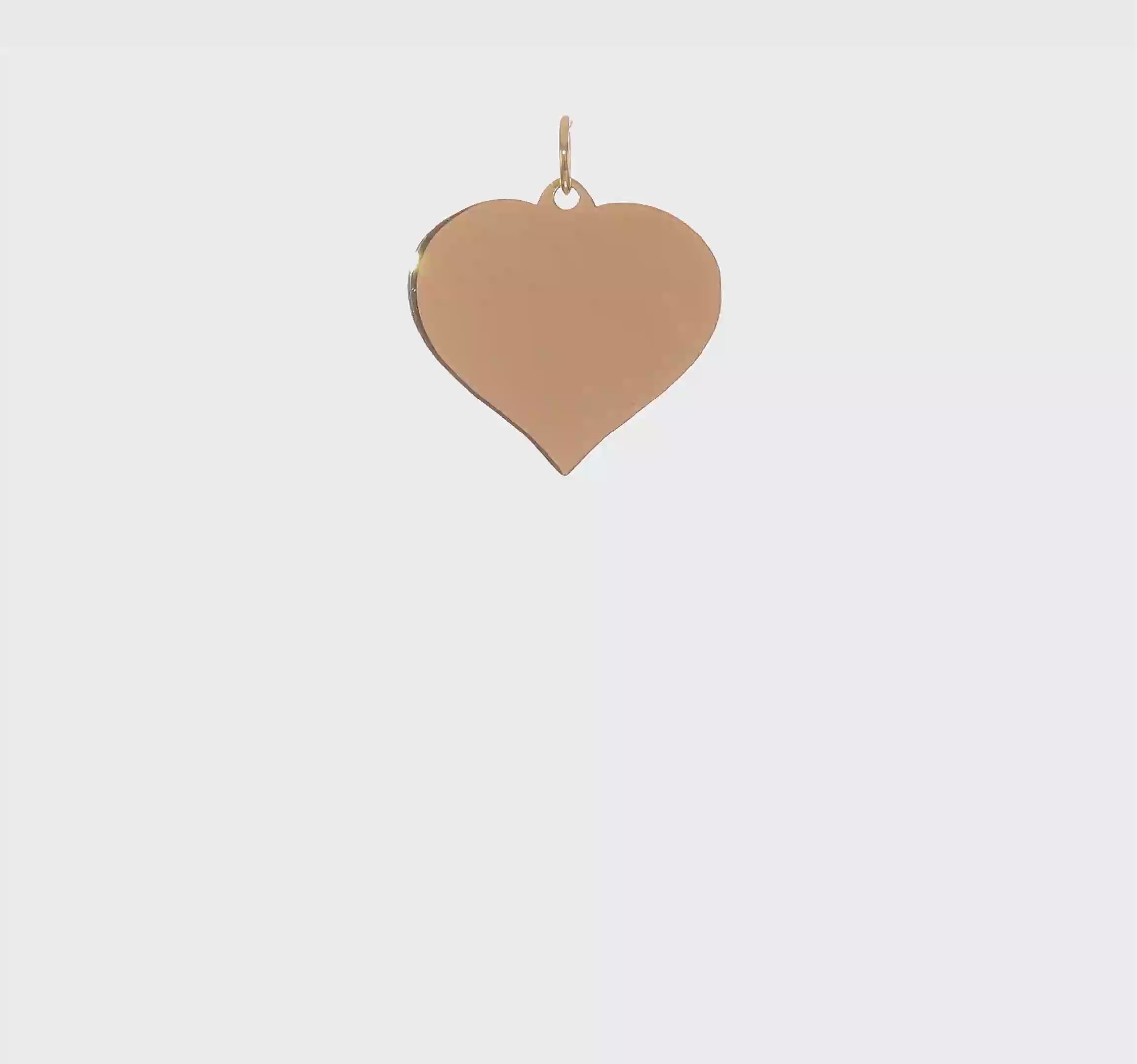 14kt Yellow Gold Heart Disc Charm