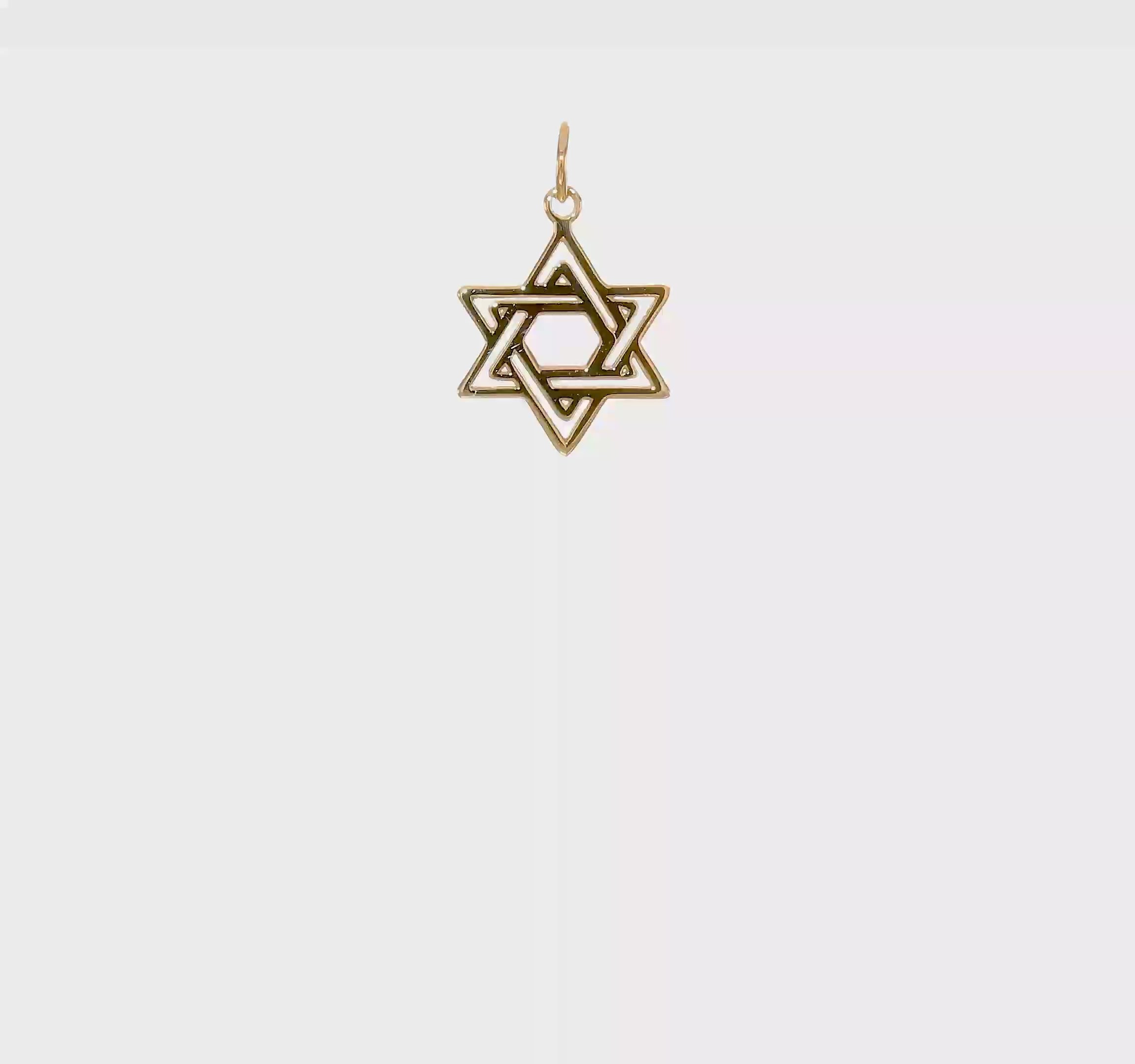 10kt Yellow Gold Jewish Star Charm