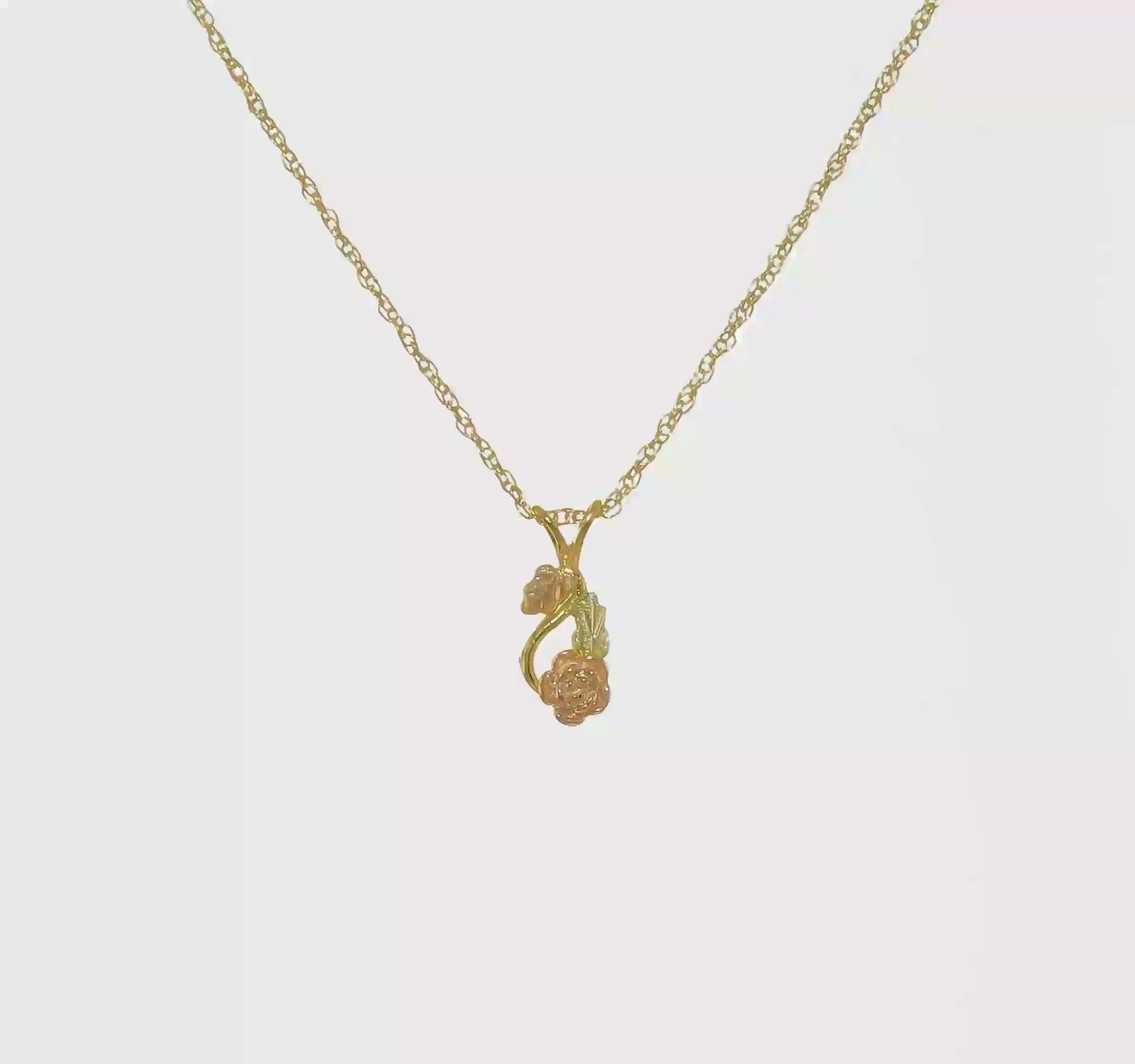 10KT Tri-color w/14K Gold-filled Chain Black Hills Gold Necklace