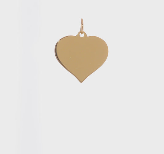 14kt Yellow Gold Heart Disc Charm