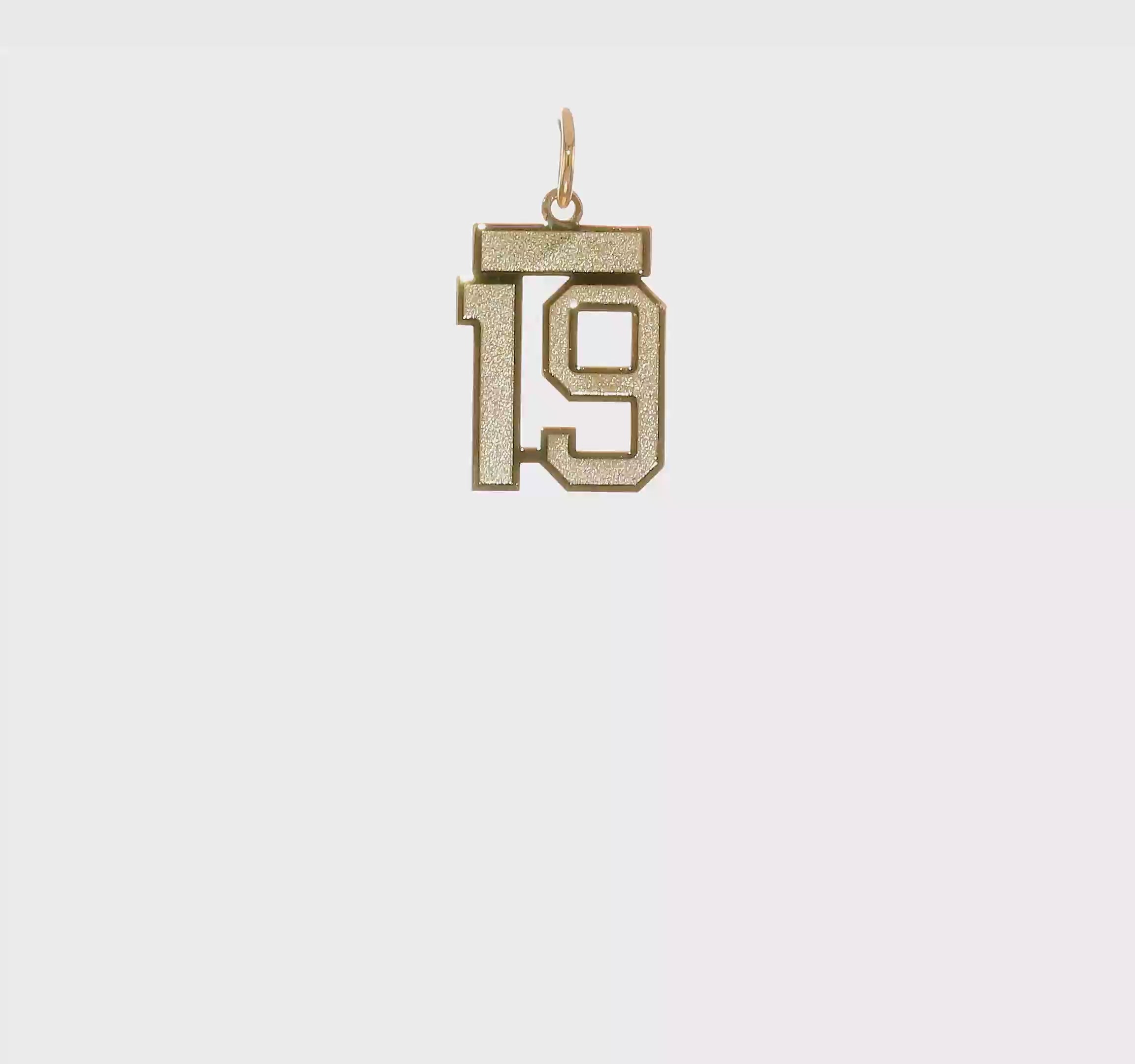 14kt Yellow Gold Small Satin Number 19 Charm
