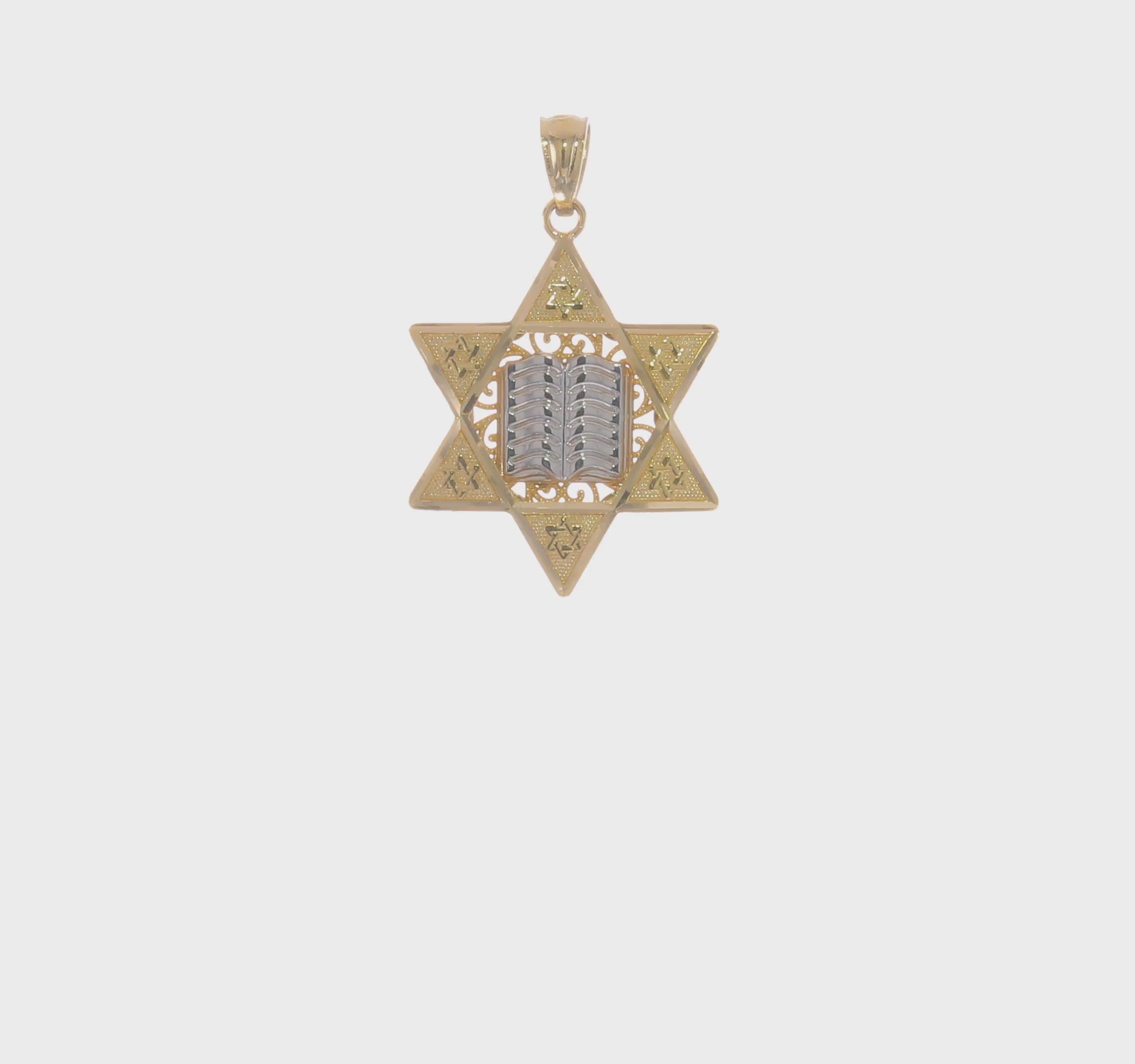 14kt Two-tone Star of David Pendant