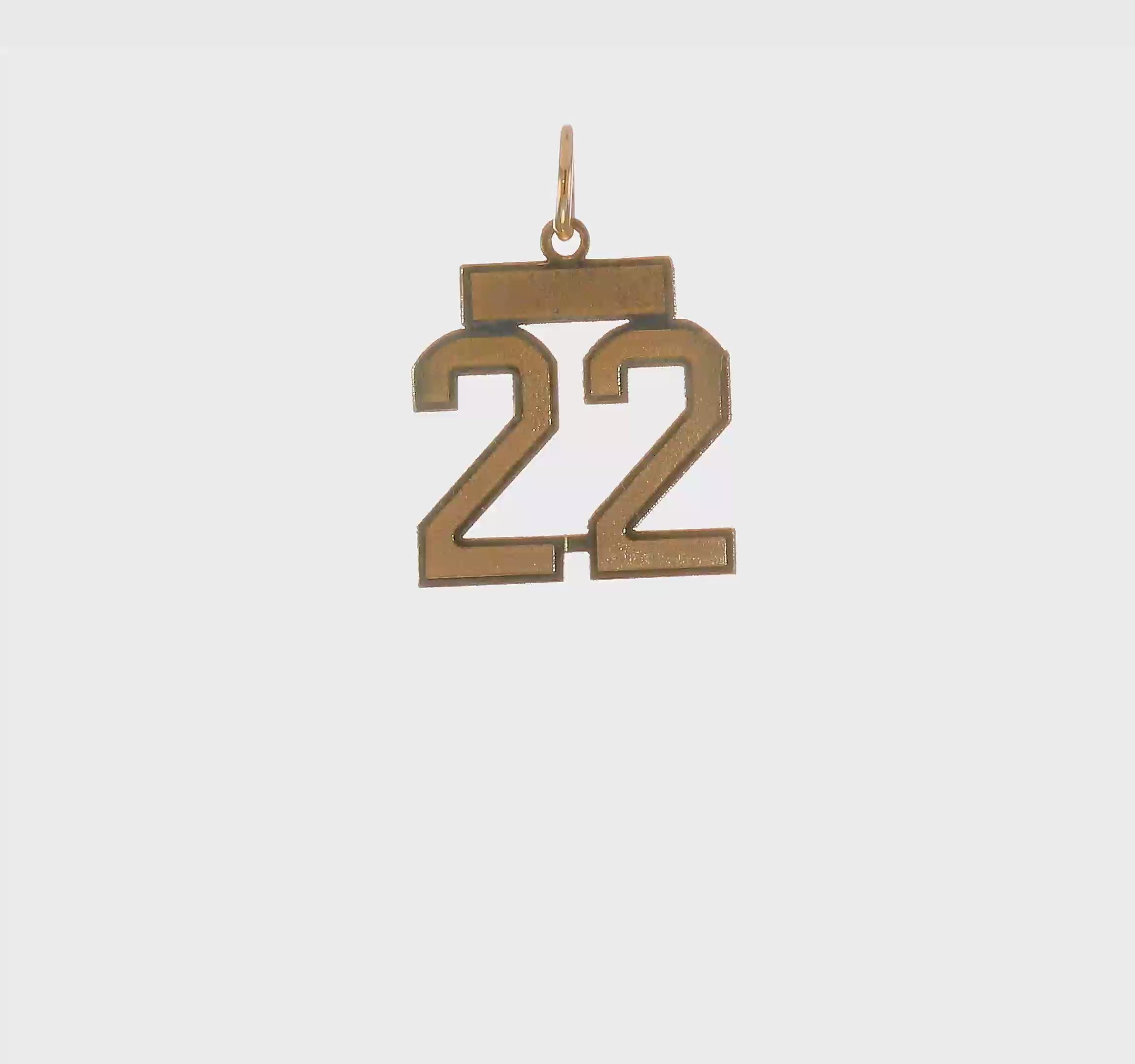 14kt Yellow Gold Small Satin Number 22 Charm
