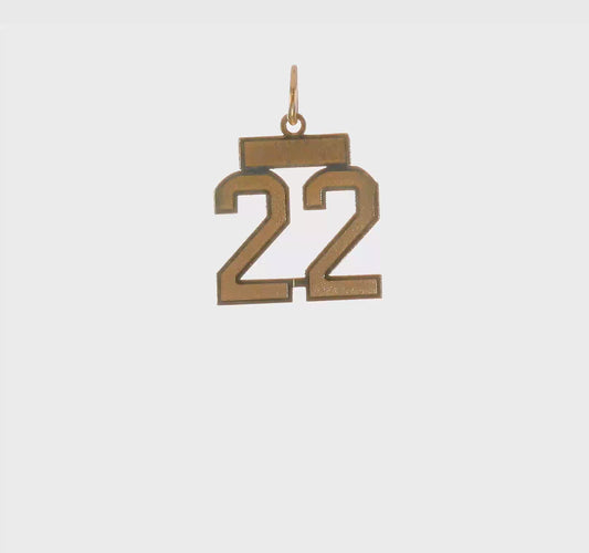 14kt Yellow Gold Small Satin Number 22 Charm