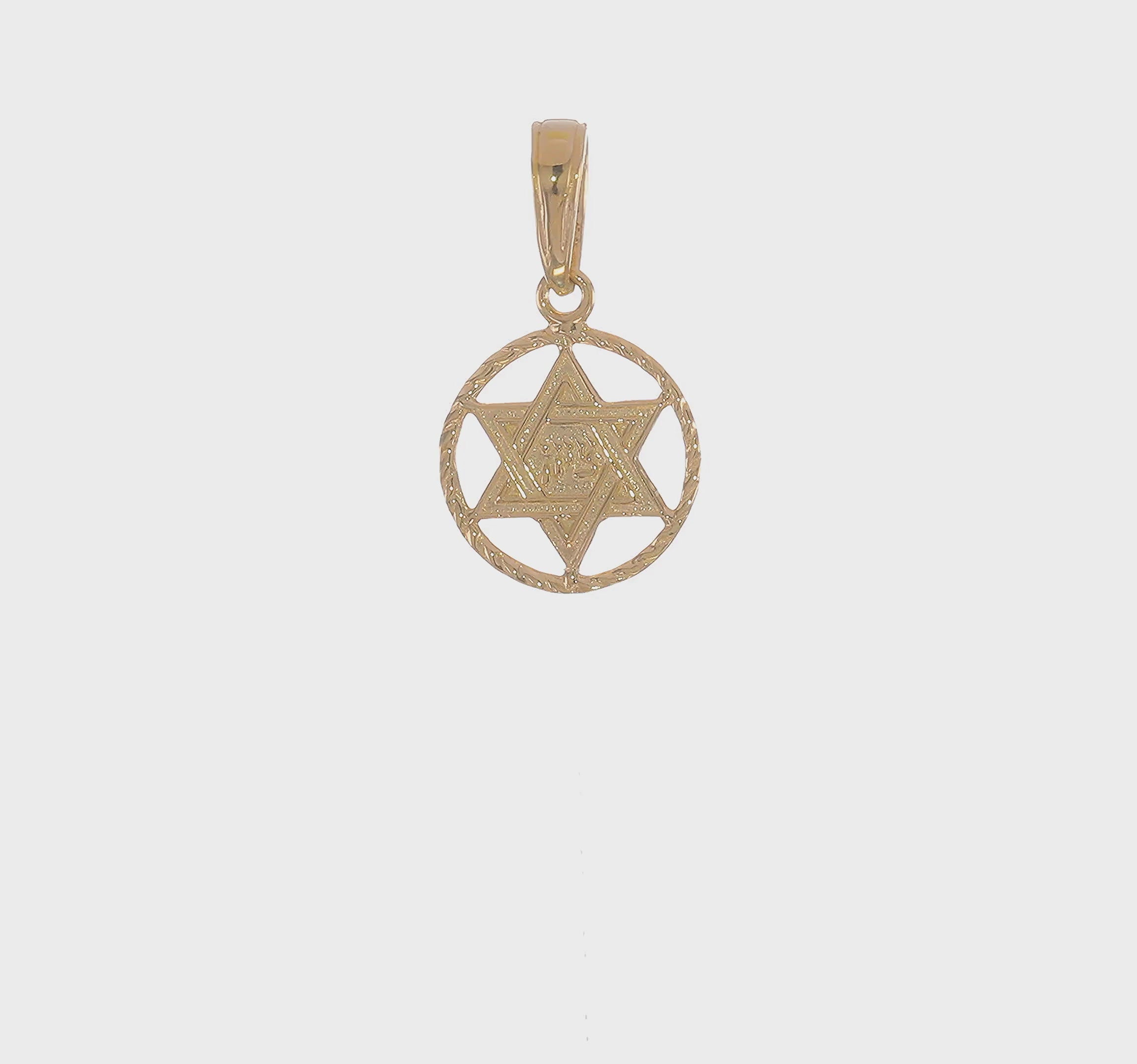14KT Yellow Gold Star of David in Circle Frame Pendant