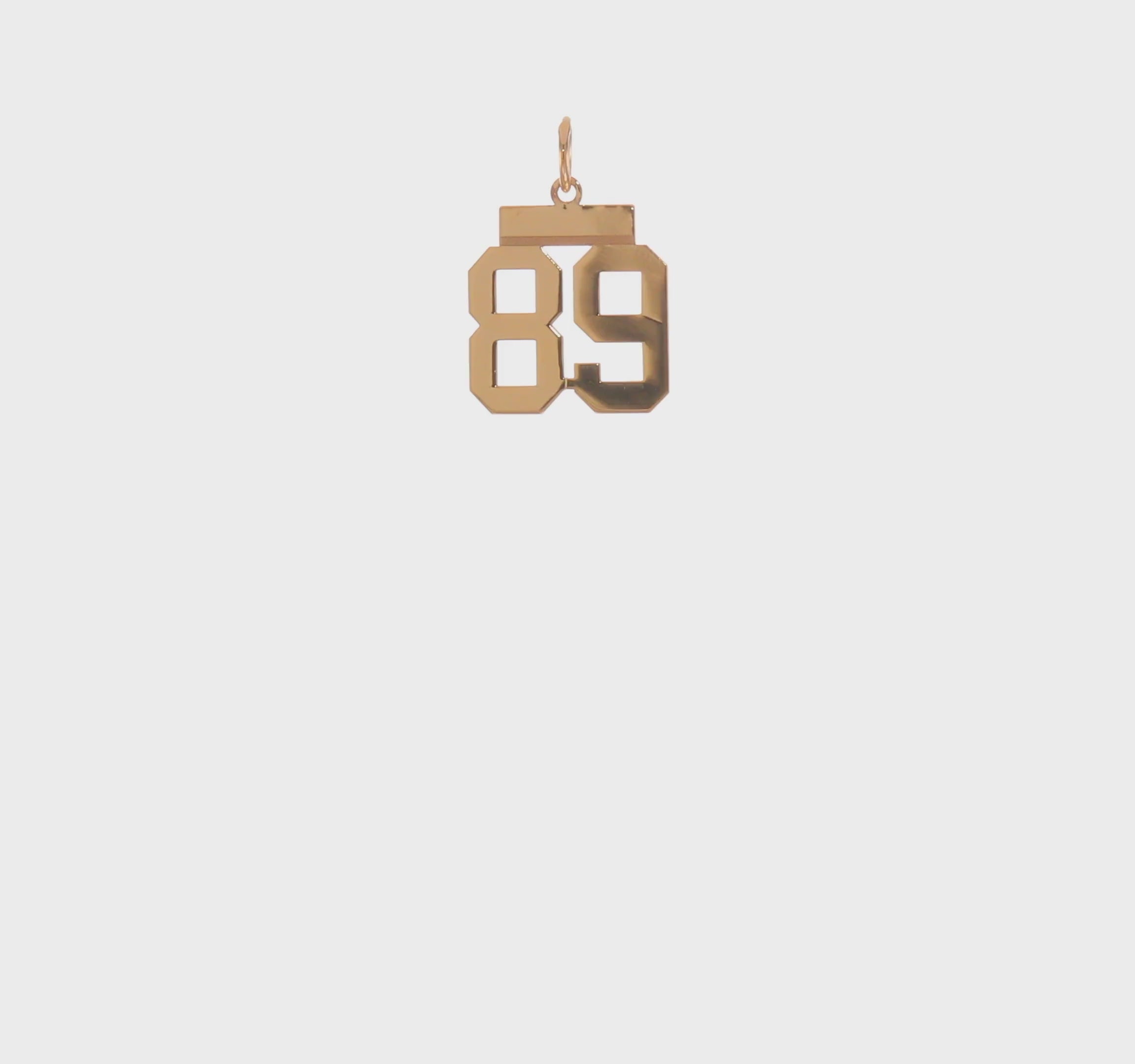 14kt Yellow Gold Small Polished Number 89 Charm