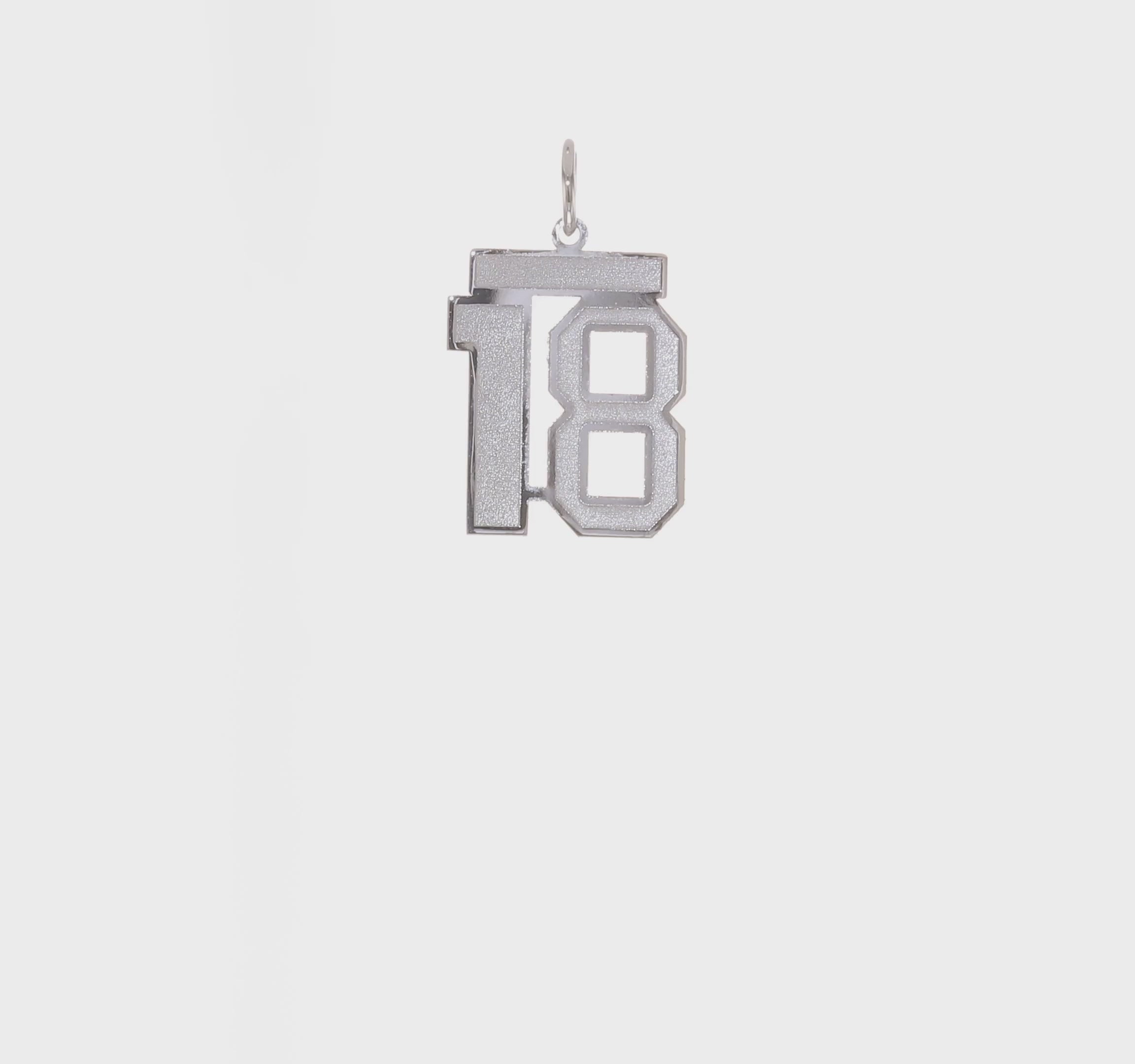 14kt White Gold Medium Satin Number 18 Charm