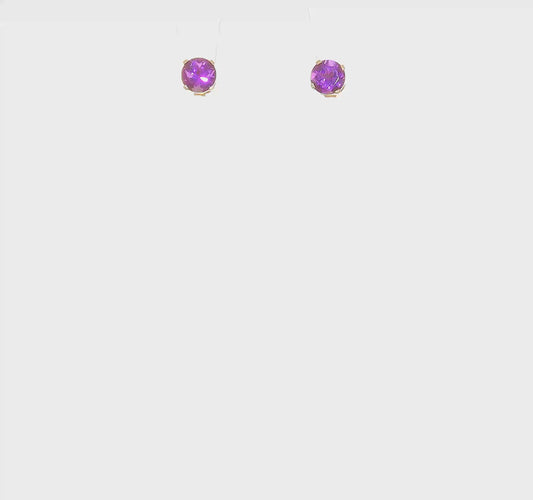 14kt Yellow Gold 5mm Amethyst Earrings - February