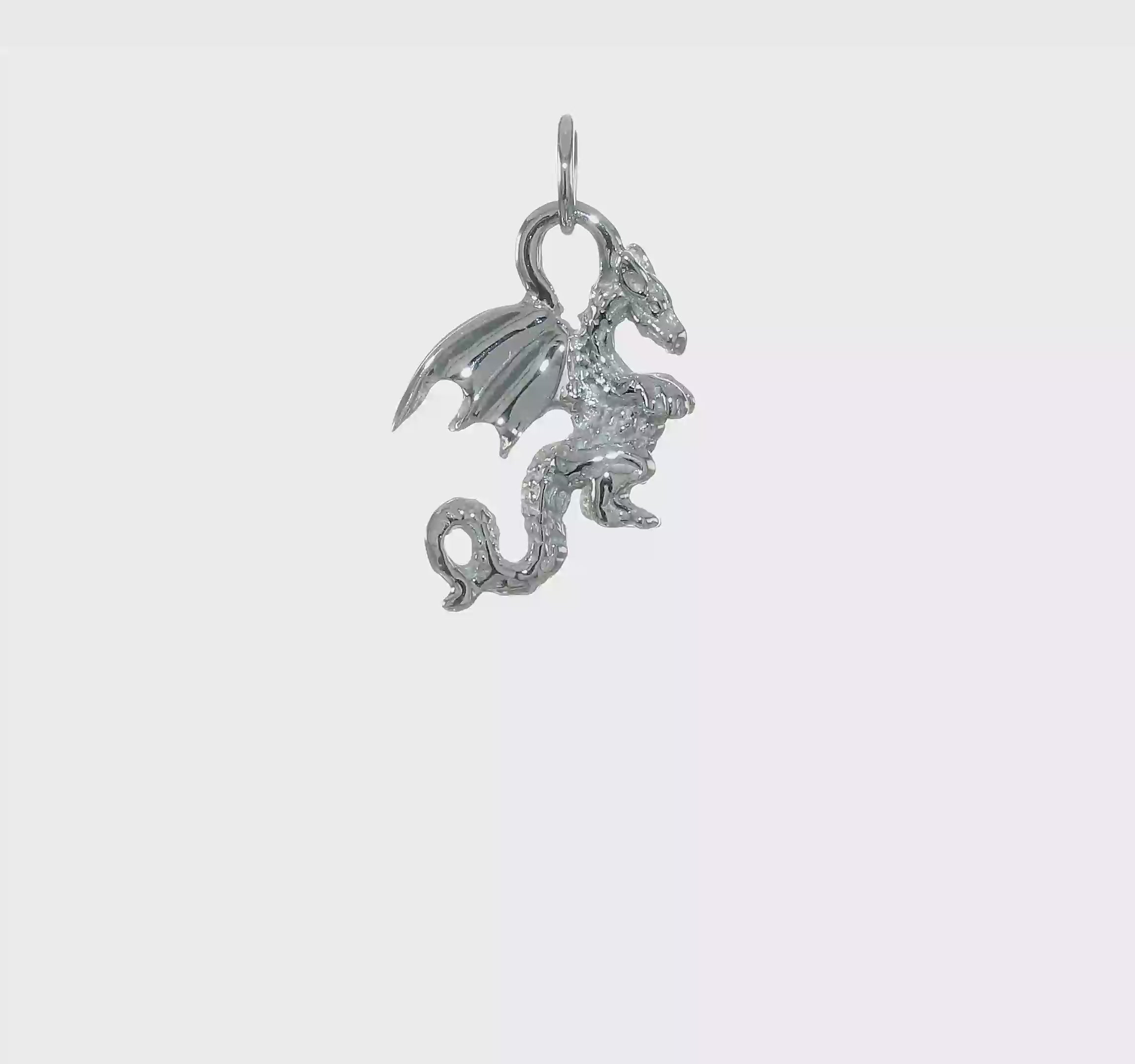 14kt White Gold Solid Polished 3-D Dragon Charm